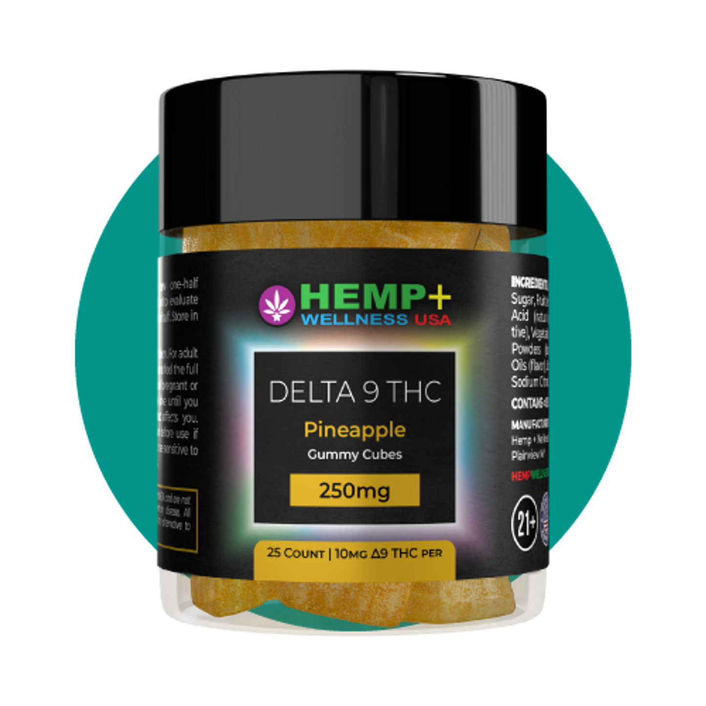 Delta 9 THC Gummies | 25 Count, 250mg D9 (10mg each), 4g