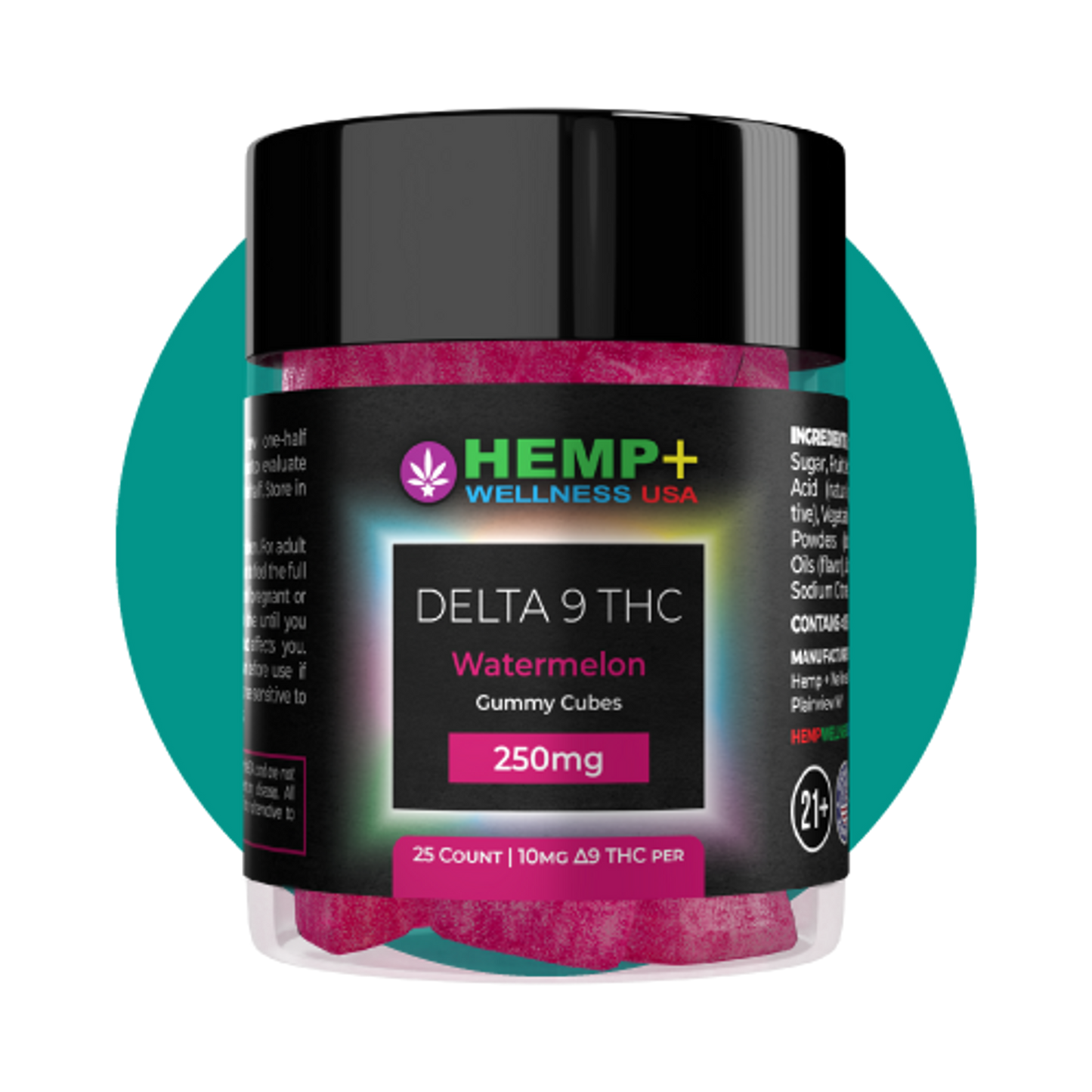 Delta 9 THC Gummies | 25 Count, 250mg D9 (10mg each), 4g